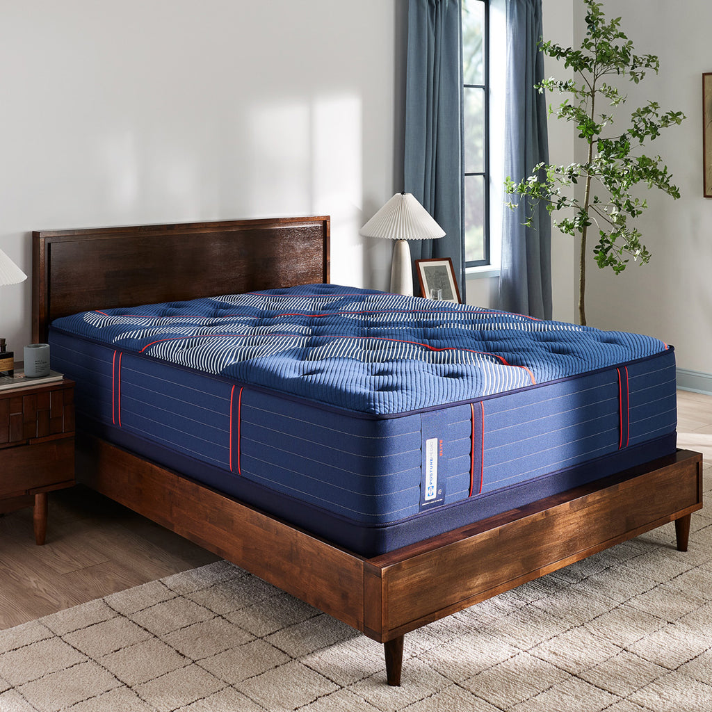Sealy Elite Brenham II Medium | Schneiderman's Furniture