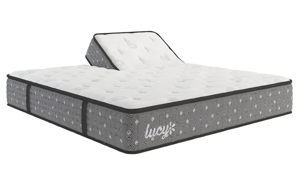 Lucy Iris Cushion Firm Split Top Schneiderman's Furniture