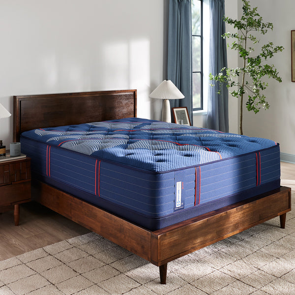 極美品 S/DOUBLE エスダブル BEAMS MA-1 ネイビー Mサイズ Sealy Elite Brenham II Medium | Schneiderman's Furniture