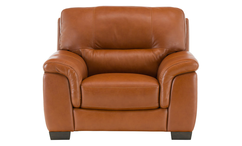 Leather loveseat on a white background.