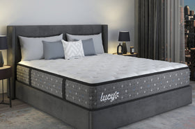 ダイナフィット チョーユー 158cm × TLT SUPER LIT Lucy Iris Ultra Firm | Schneiderman's Furniture