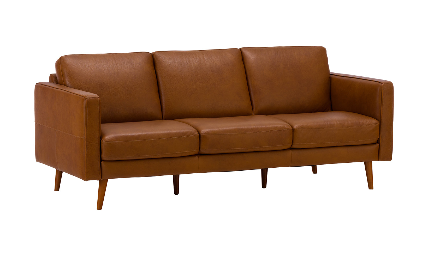 Destrezza Leather Sofa | Schneiderman's Furniture