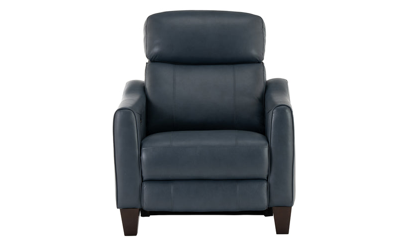 Julius Leather Power Recliner