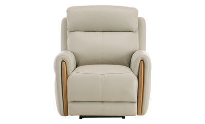Madison Leather Power Recliner