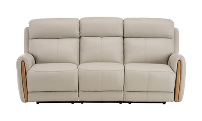 Madison Leather Power Reclining Sofa