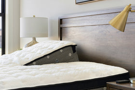 Lucy Iris Plush Euro Split Top | Schneiderman's Furniture