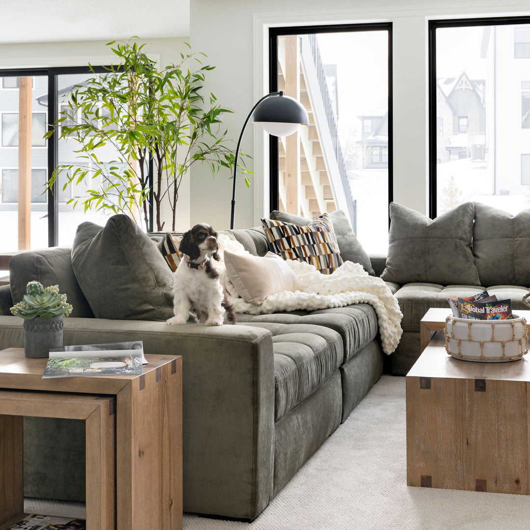 Noah 5-Piece Sectional | Schneiderman's Furniture