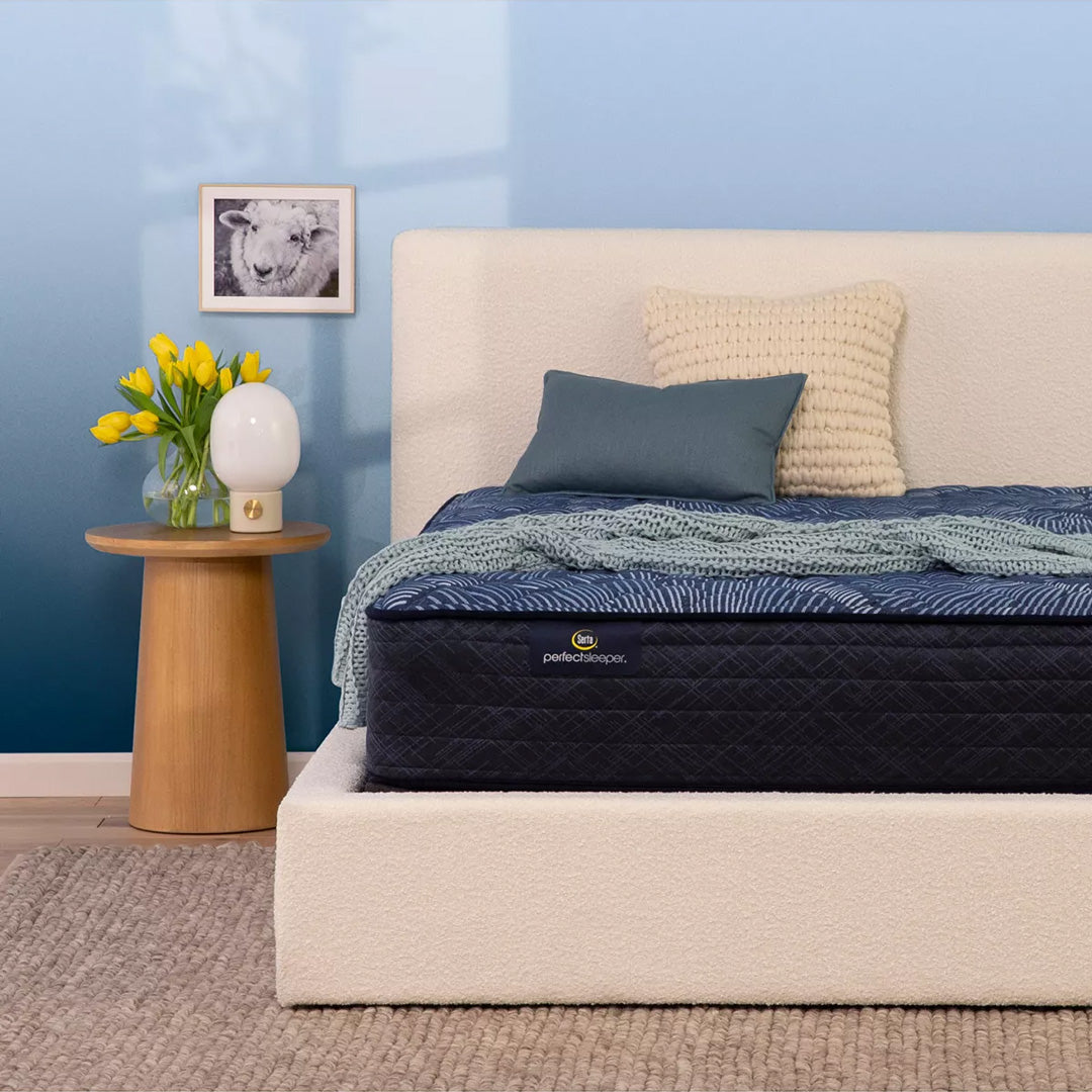 Serta Perfect Sleeper Cobalt Calm Plush Schneiderman's Furniture