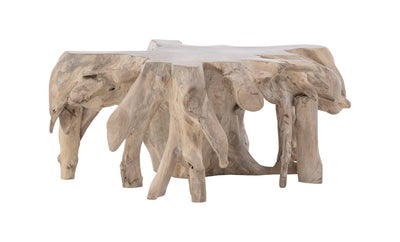 Cypress Root Coffee Table